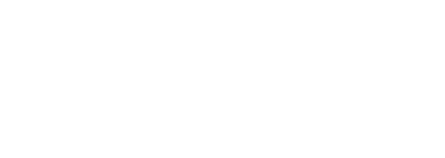 SDWorx_logo_white